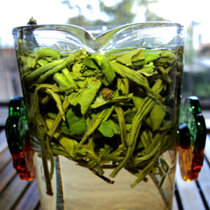 Eastern Green Tea Brewing technique